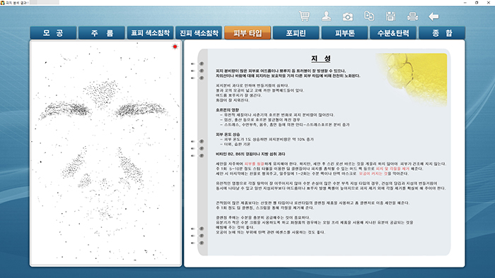 피부 타입