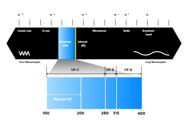 sebum skin analysis device spectrum